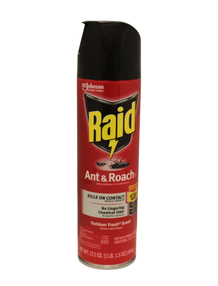 Raid Ant & Roach 17.5 oz Spray Outdoor Fresh