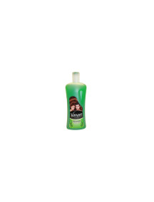 Vanart Shampoo 32 oz - Freshness Herbal Fusion