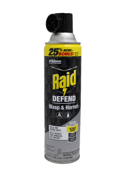 Raid Defend Wasp & Hornet 17.5 oz Spray 