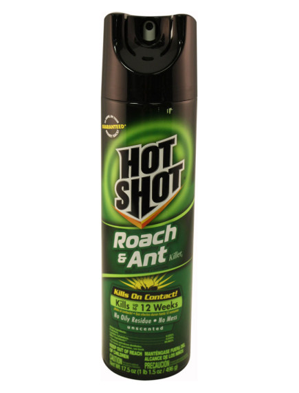 Hot Shot Roach & Ant Killer 17.5 oz Unscented