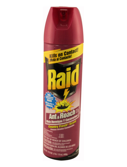 Raid Ant & Roach Killer 17.5 oz Country Fresh