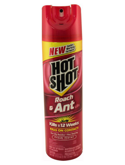 Hot Shot Roach & Ant Killer 17.5 oz