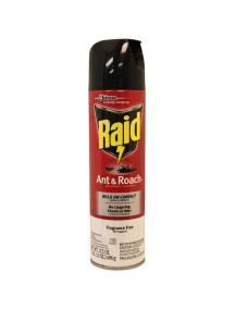 Raid Ant & Roach 17.5 oz Spray - Fragrance Free