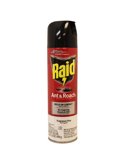 Raid Ant & Roach 17.5 oz Spray - Fragrance Free