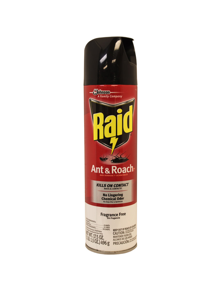 Raid Ant & Roach 17.5 oz Spray Fragrance Free