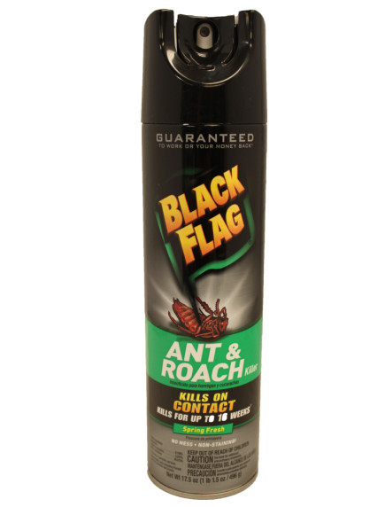 Black Flag Ant & Roach Killer Spray 17.5 oz - Spring Fresh Scent 