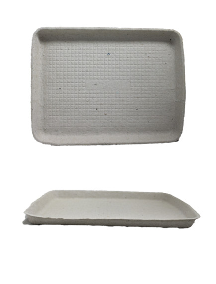 Disposable Biodegradable Paper Tray 9 in x 12 in